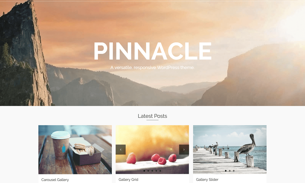 WordPress Pinnacle Pro Teması Lisans