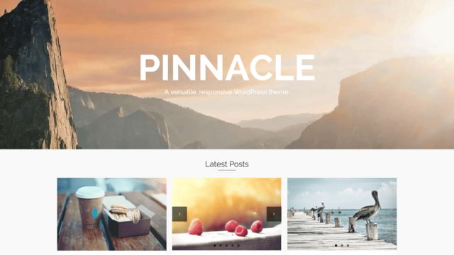 WordPress Pinnacle Pro Teması Lisans